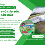 TUYỂN DỤNG PGĐ HANGA